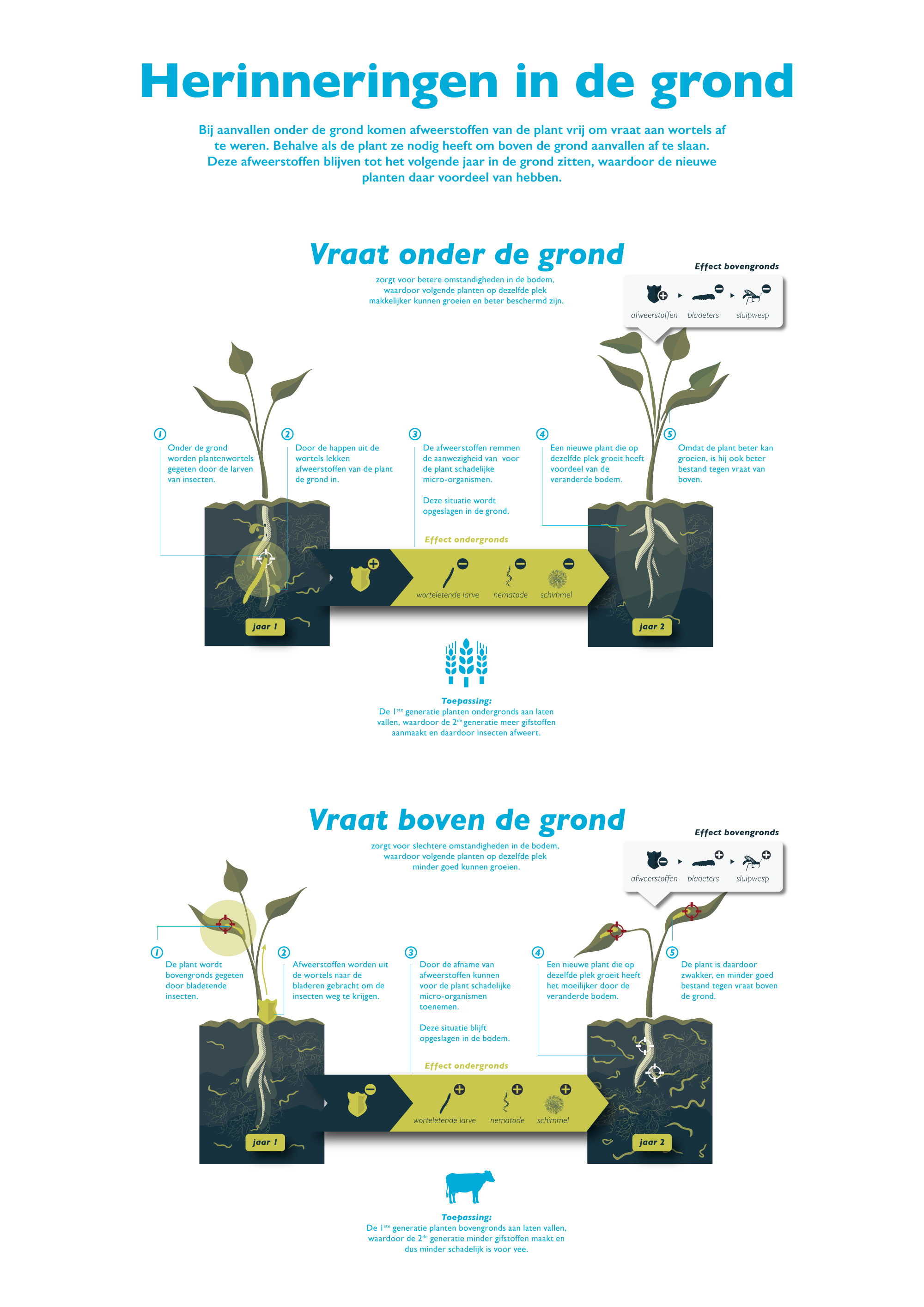 Afweerstoffen in de grond - Invloed van herbivoren op bodemleven - NIOO - design too many words - infographic