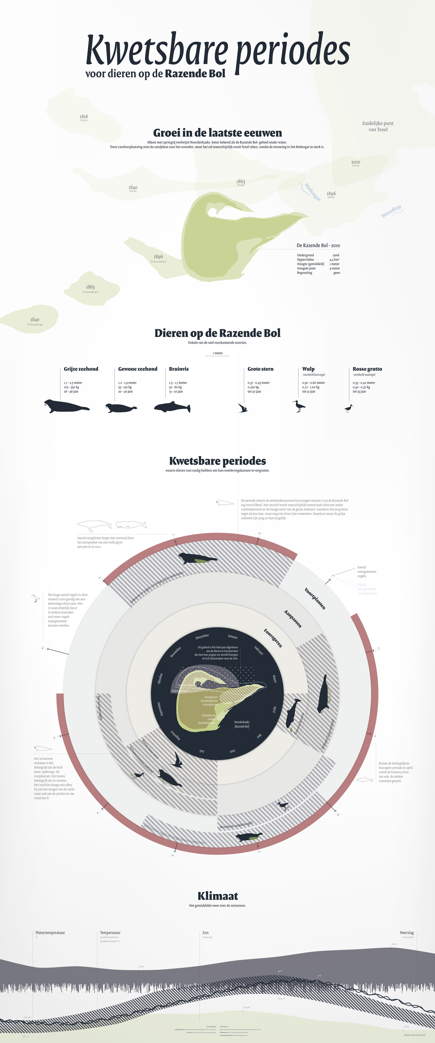 Kwetsbare periodes op de Razende Bol | infographic