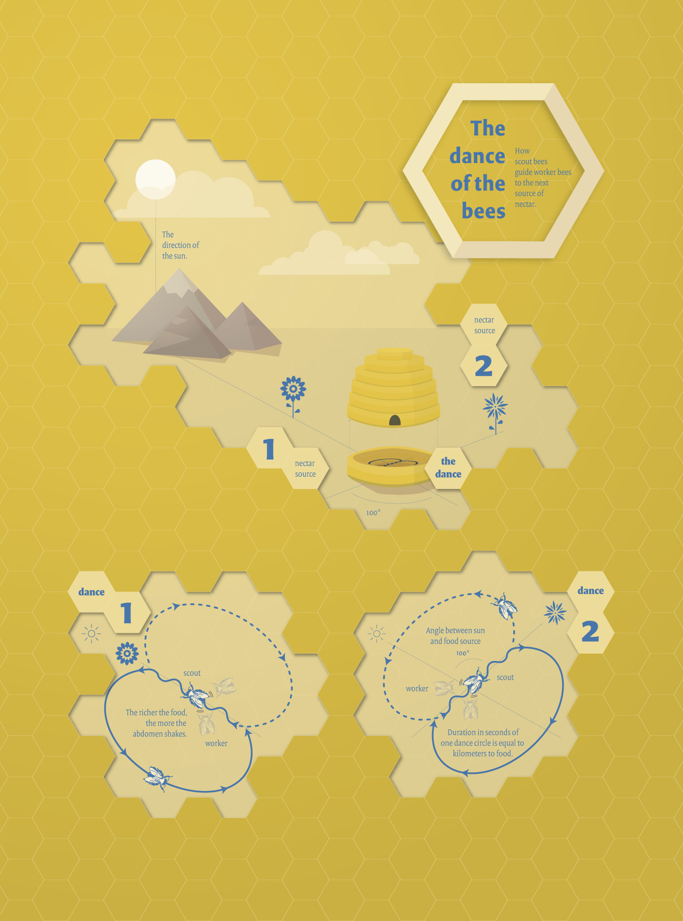 De dans van de bijen - infographic Too Many Words | Infographics & identiteit te Utrecht