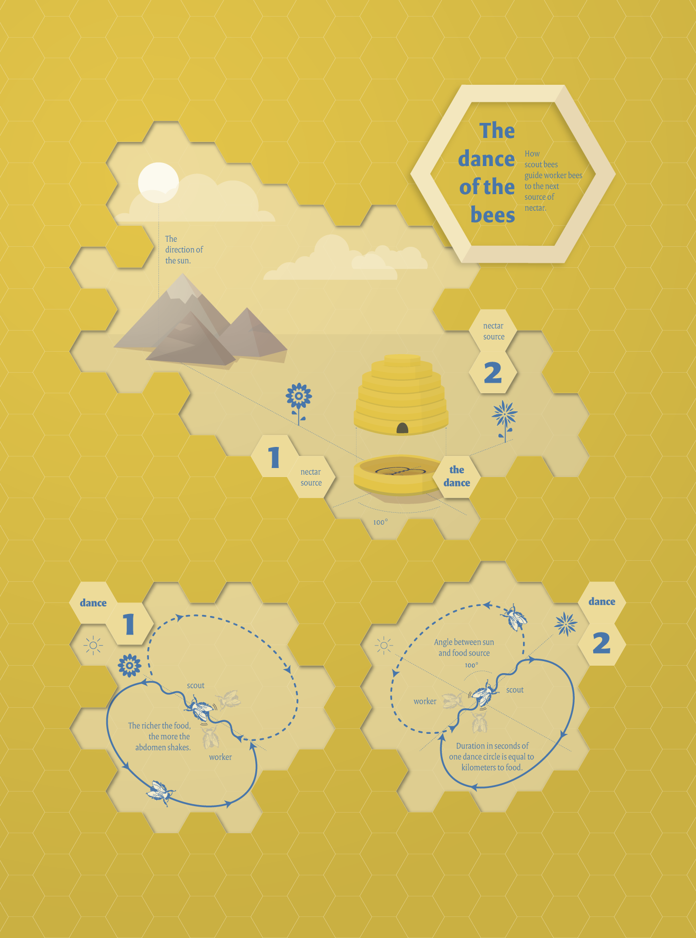 De dans van de bijen | infographic